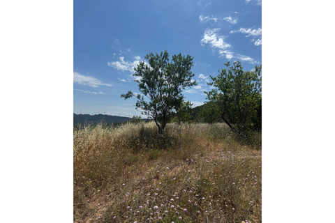 Ruinere i Mora La Nova, Tarragona, Mora La Nova - € 96.000 | Ref: Masía Catalana - foto 4